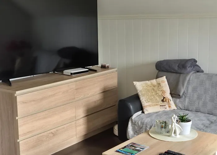 Duze Mieszkanie W Centrum Apartamento Ålesund