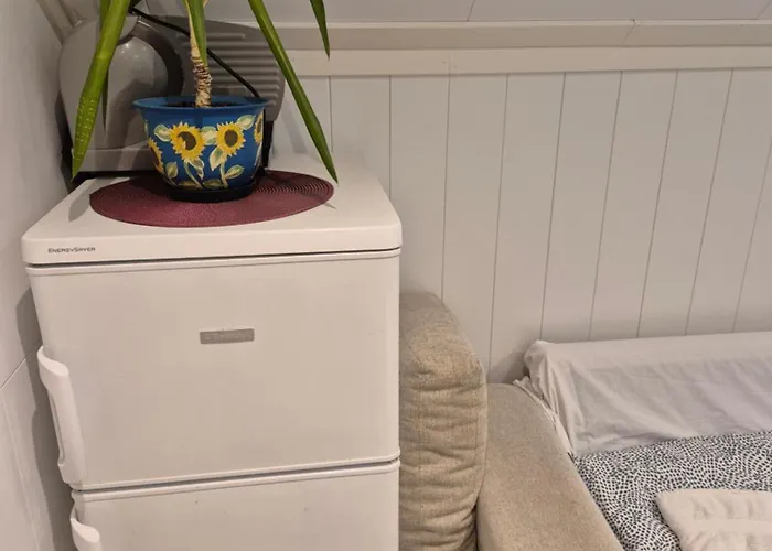 Duze Mieszkanie W Centrum *